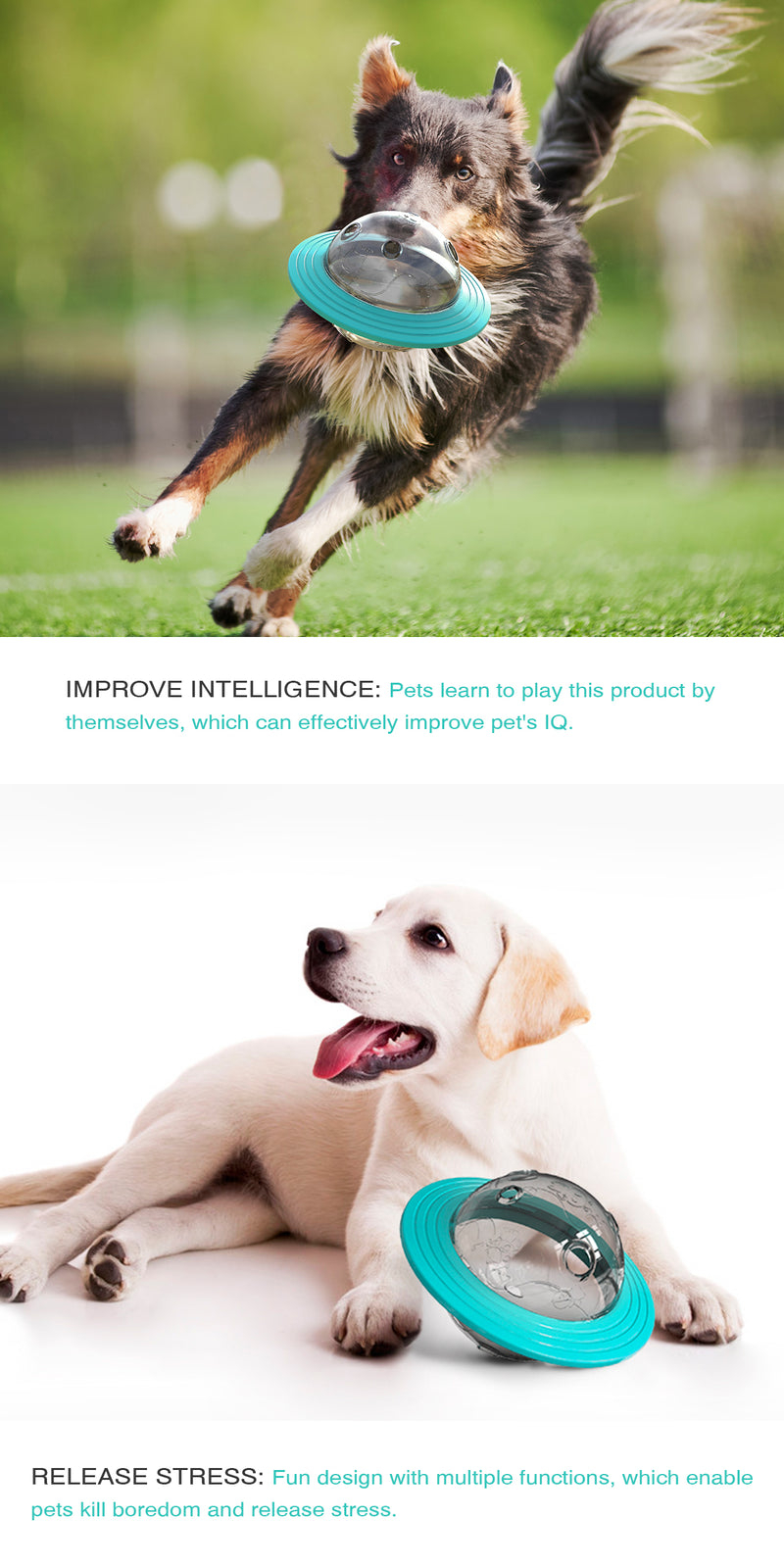 Dog Interactive Food Dispensing Treat Ball - Slow Feed Training Toy