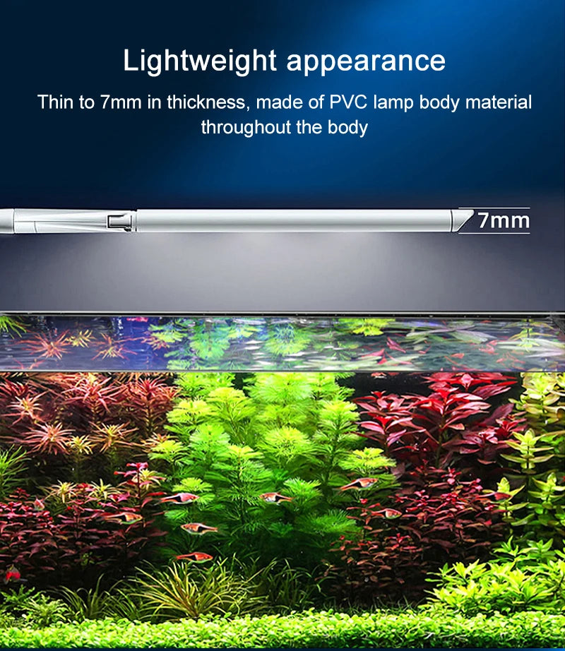 Lampe LED à pince réglable pour aquarium