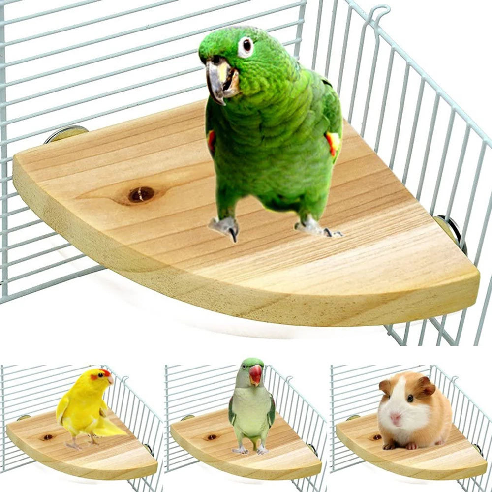 A green parrot sitting on a fan-shaped wooden bird perch.