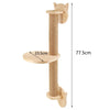 Wall Mounted Cat Climbing Frame 50cm with Hammock