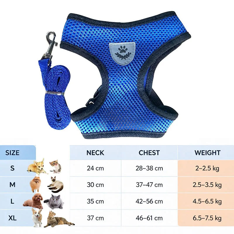 Blue reflective harness for cats and small dogs with a leash, shown with size chart.