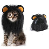 A black and gray cat wearing a lion mane costume hat with orange ears.