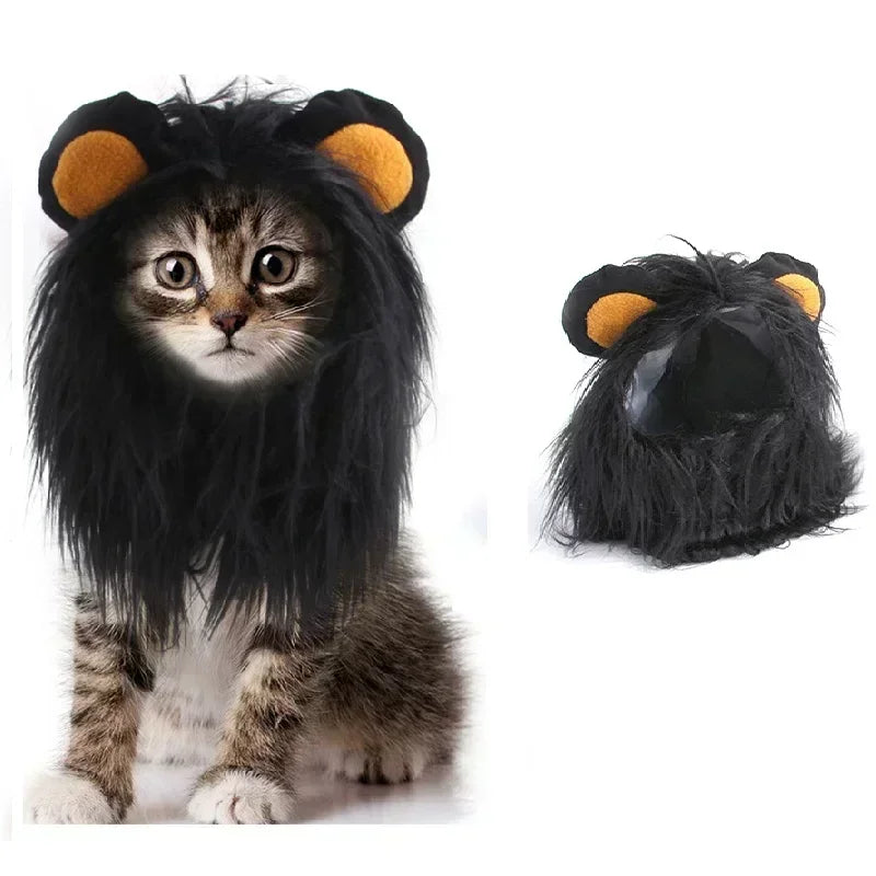 A black and gray cat wearing a lion mane costume hat with orange ears.