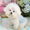 Vestido Floral de Encaje para Mascotas