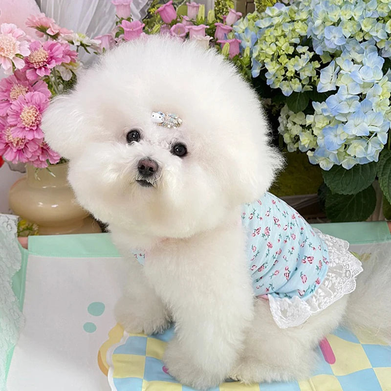Vestido Floral de Encaje para Mascotas