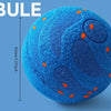 Interactive Automatic Rolling Dog Ball with Motion Activation
