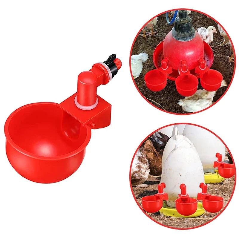 Automatische Tränkenasen für Geflügel