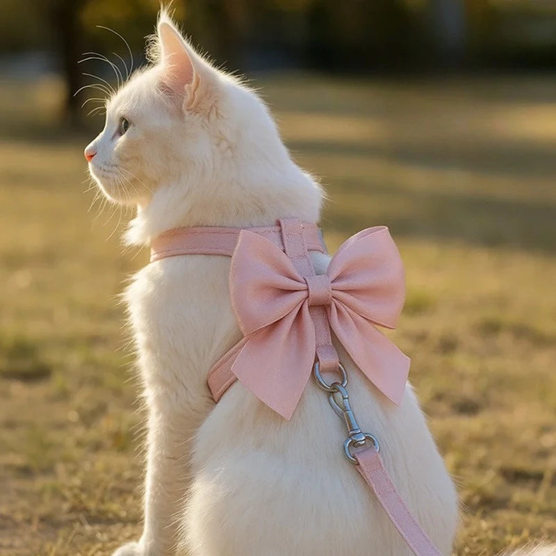 A white cat wearing a pink bowknot harness and leash, looking to the left in an outdoor setting.