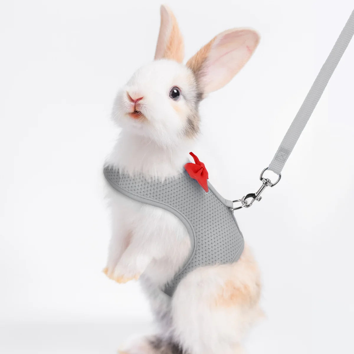 Padded Comfort Leash for Small Pets and Rodents