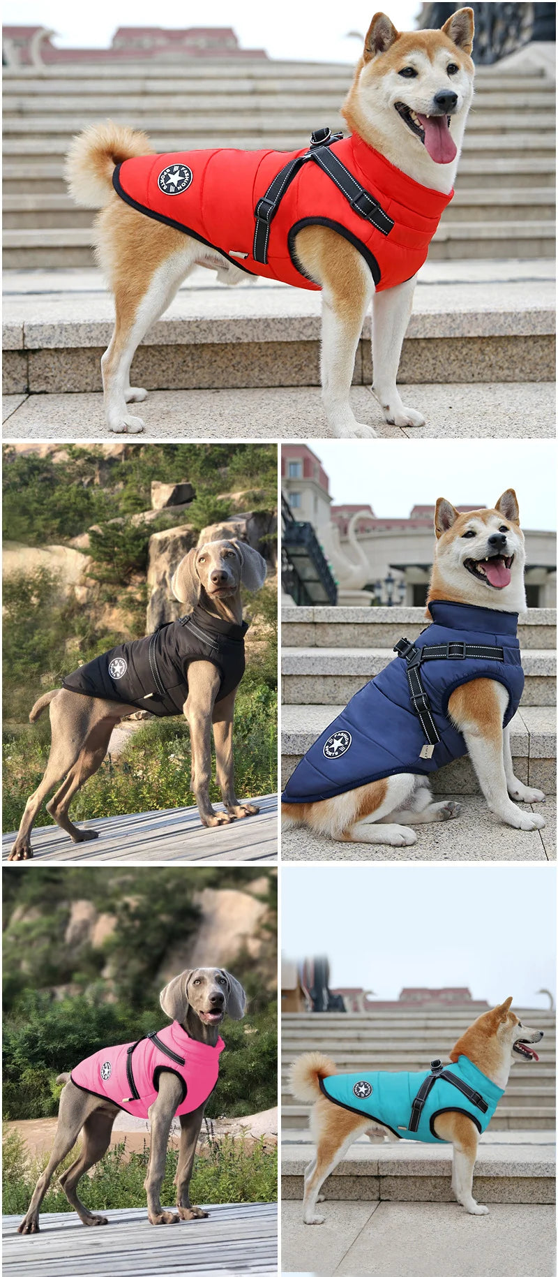 Waterproof Dog Jacket with Harness - Winter Coat for Dogs