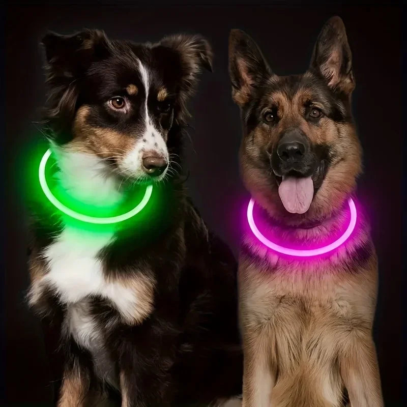 USB-wiederaufladbarer LED-Hundehalsband für mehr Sicherheit bei Nacht