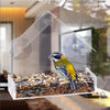 Window Bird Feeder with Suction Cups