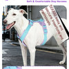 No-Pull Dog Harness with Reflective Strips