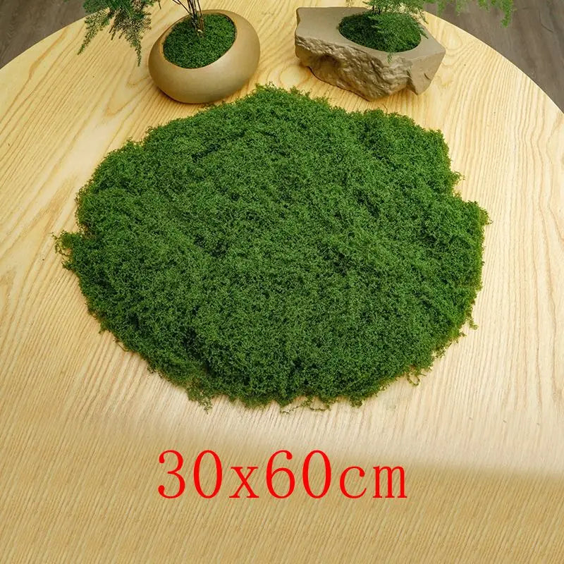 Natural Green Preserved Moss for DIY Crafts and Decor