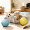 Interactive Sisal Cat Scratching Ball