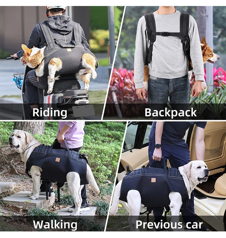 Großer Hundetransporter-Rucksack wird zum Reiten, Spazierengehen und im Auto benutzt.