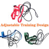 Bird Harness and Leash Set for Outdoor Adventures