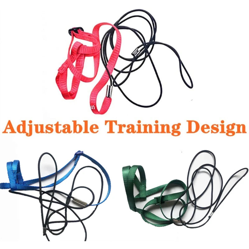 Bird Harness and Leash Set for Outdoor Adventures