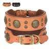 A brown leather dog collar with gold hardware and studded medallions for medium to large breeds.