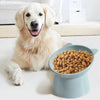 A light golden retriever dog looking at the camera next to a blue pet feeding bowl filled with kibble.