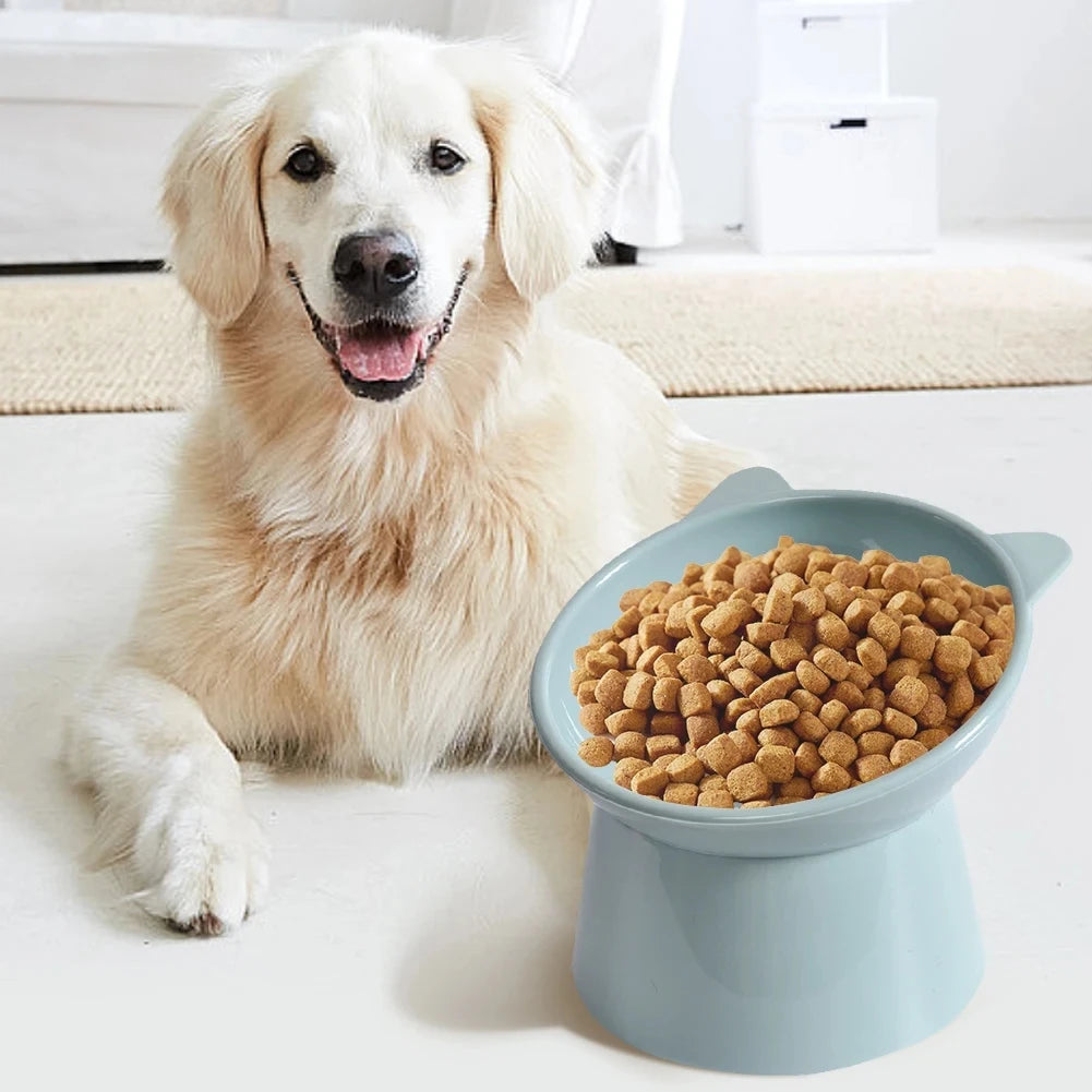 A light golden retriever dog looking at the camera next to a blue pet feeding bowl filled with kibble.