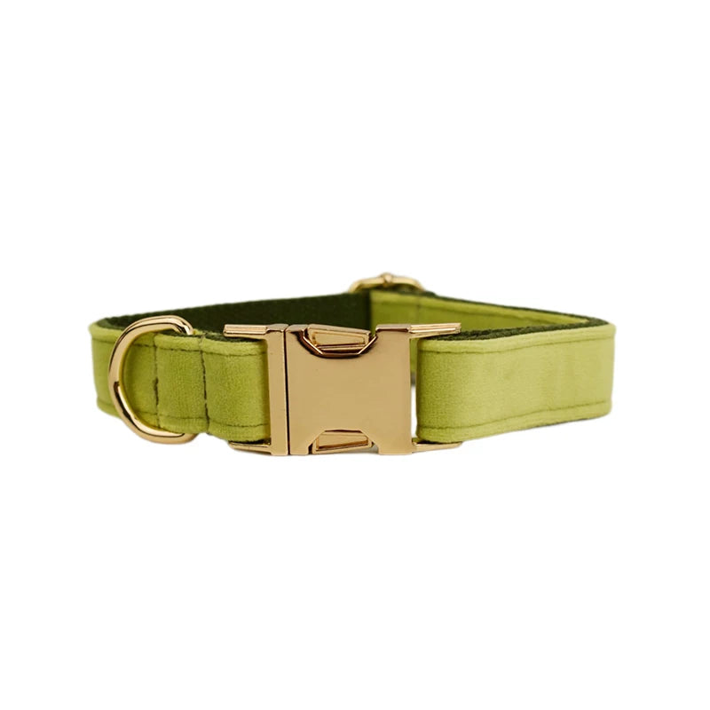 Set of olive green velvet dog collar, leash, and harness with brass hardware