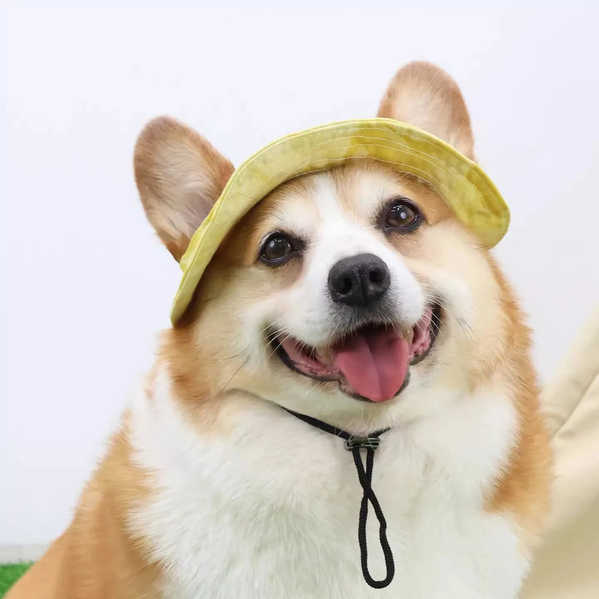 Breathable Cotton Sun Hat for Dogs and Cats with Ear Holes