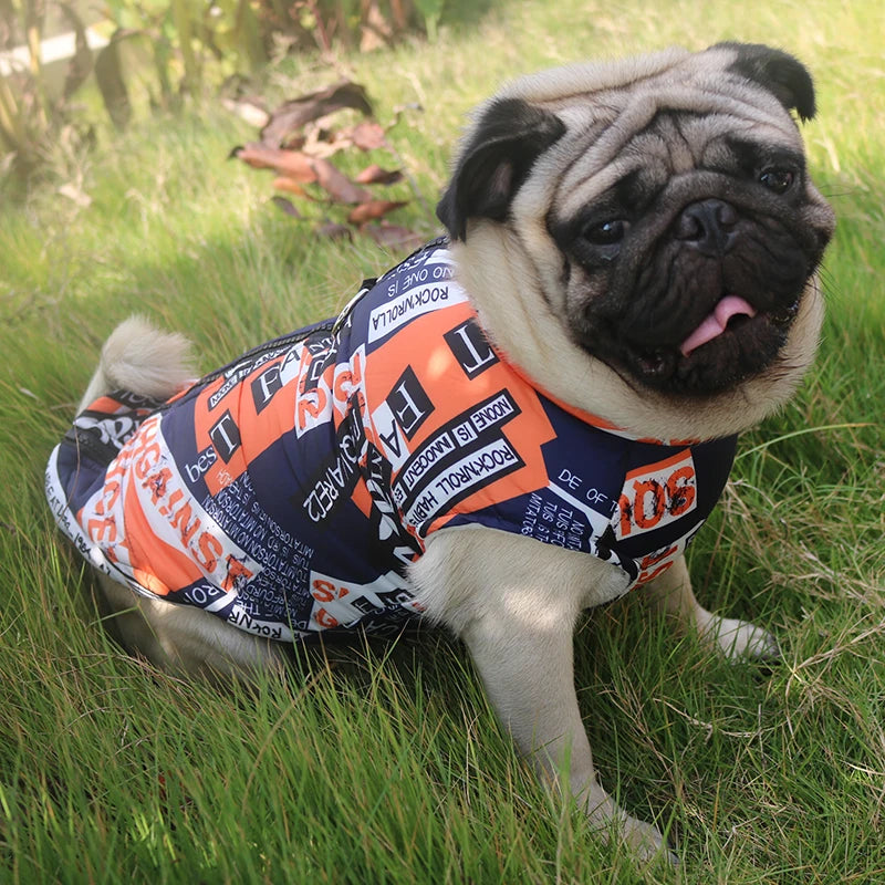 Chaleco impermeable acolchado para perro
