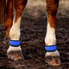 Wraps LED pour Jambes de Cheval - Lot de 4