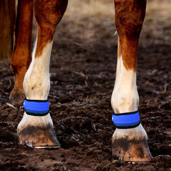 Wraps LED pour Jambes de Cheval - Lot de 4