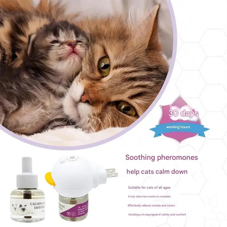 A close-up of a fluffy kitten and an adult cat next to an electric pheromone diffuser for cats.