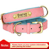 Personalisierte gepolsterte Leder-Hundehalsband mit graviertem Namensschild