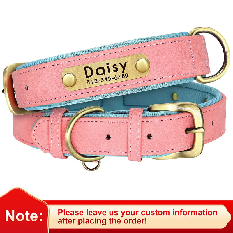 Personalisierte gepolsterte Leder-Hundehalsband mit graviertem Namensschild