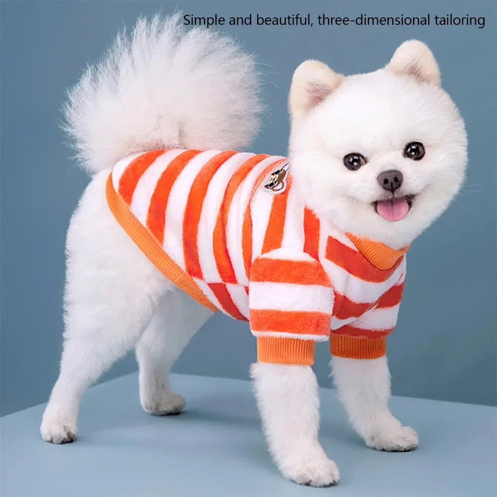 A white fluffy dog wearing an orange and white striped three-dimensional tailoring sweater.