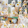 Princess Mesh Dog Dress with Bow Lace Trim