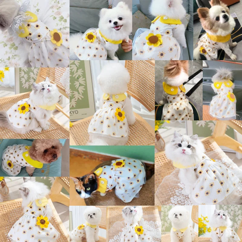Princess Mesh Dog Dress with Bow Lace Trim