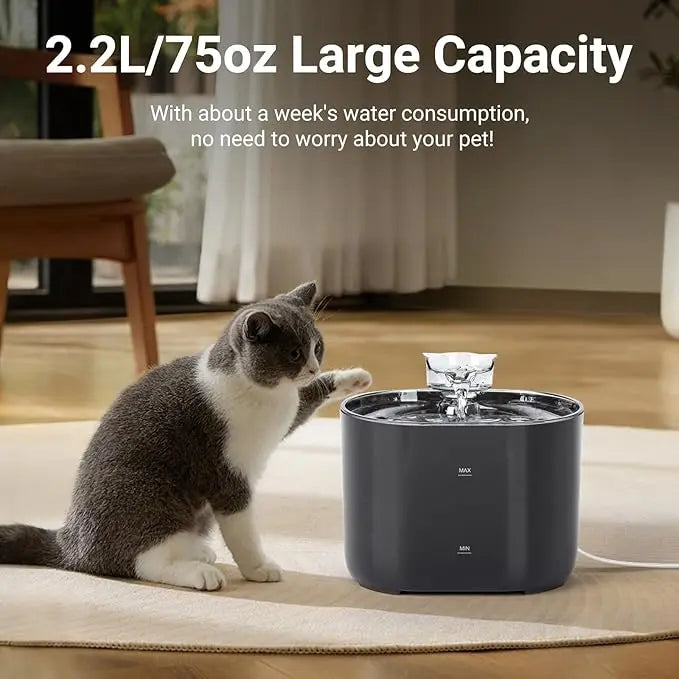A sleek, dark gray automatic cat water fountain with a glass bowl is shown next to a domestic cat.