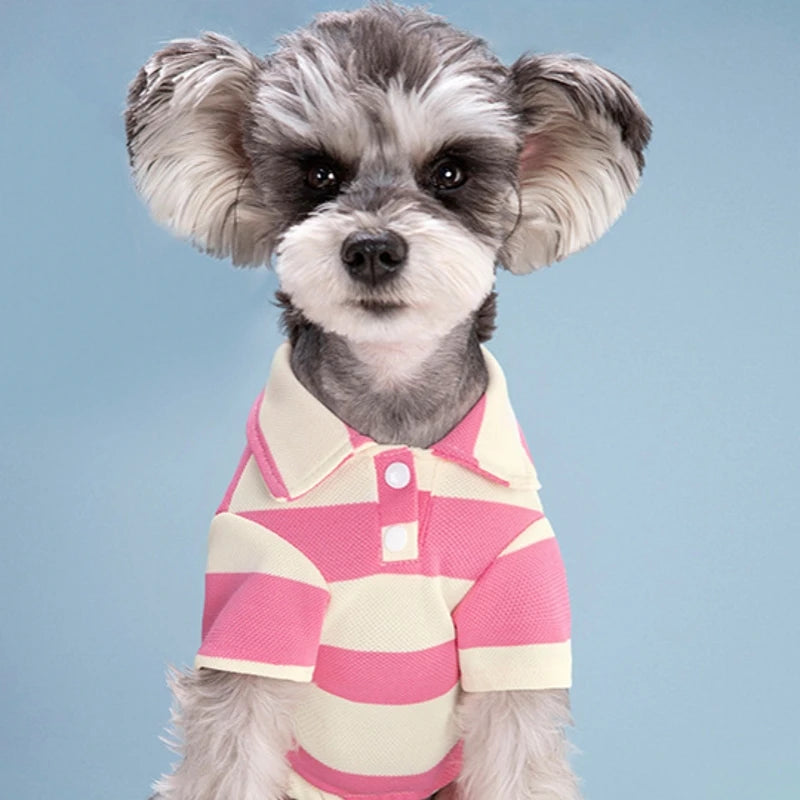 Classic Cotton Polo Shirt for Dogs and Cats