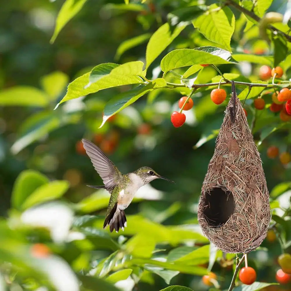 A hand-woven grass bird nest decoration hanging from a green plant branch.