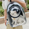 A person is carrying a transparent pet carrier backpack with a cat inside outdoors.