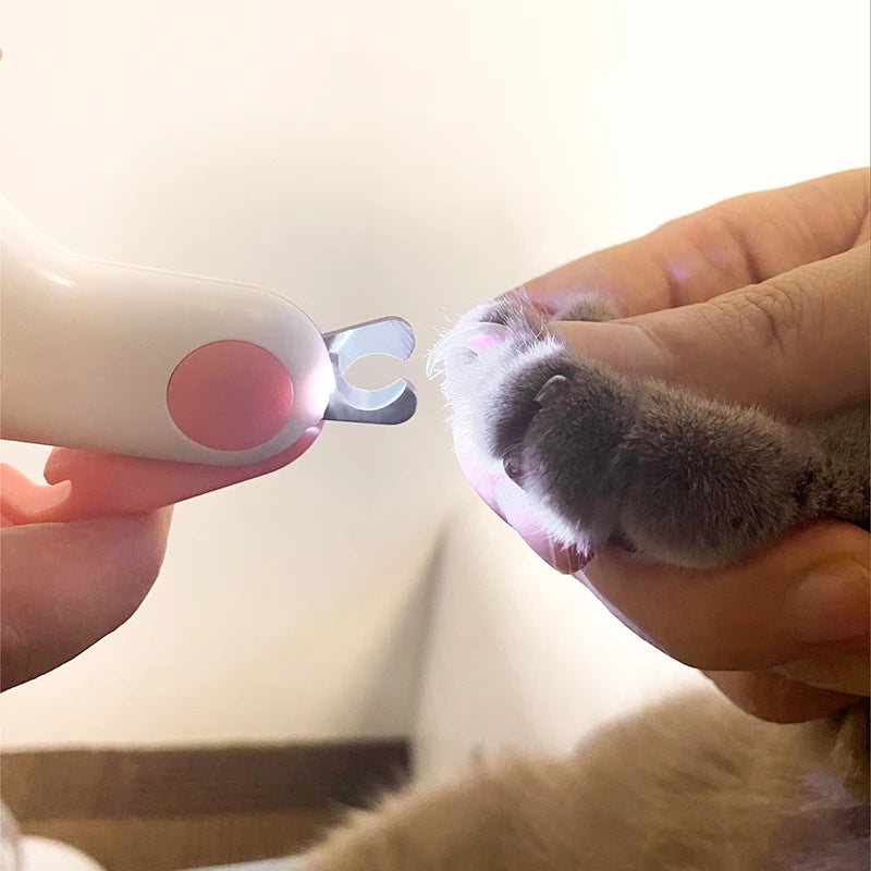 Eine Hand hält eine LED-Nagelschere mit Sicherheitsverschluss in der Nähe eines kleinen grau-weißen Haustieres.