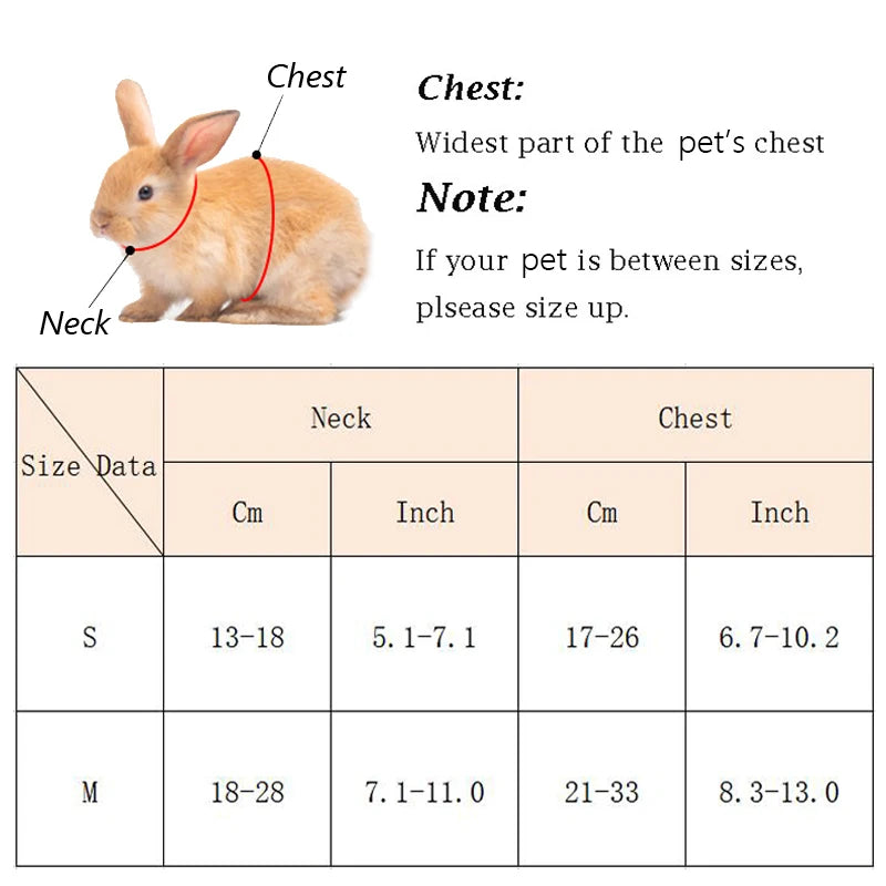 A size chart for a cartoon rabbit harness and leash set, showing measurements in centimeters and inches for small animals.