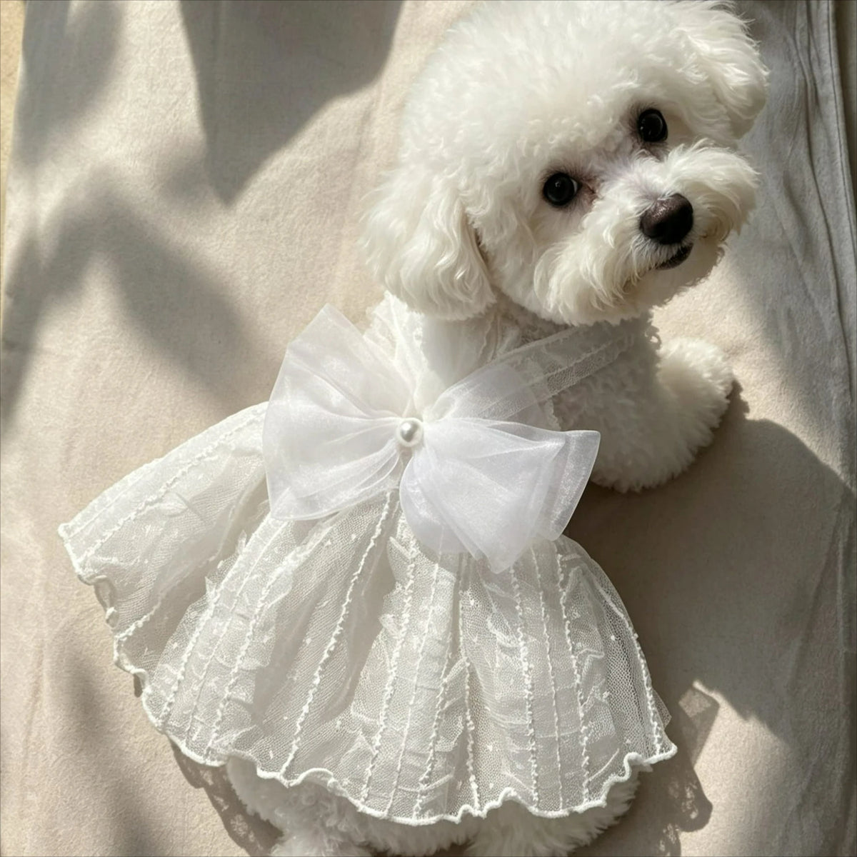 Adorable Princess Dress for Small Dogs and Cats