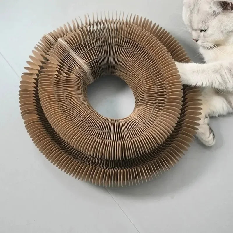 A cat is interacting with a round, accordion-style scratching board made of light brown material.