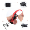 USB-aufladbarer LED-Hundehalsband für Nachtsicherheit