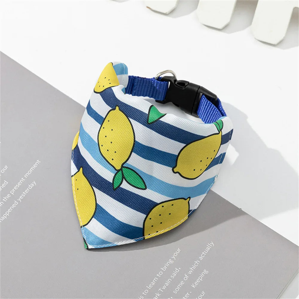 A printed pet collar with a matching bandana featuring yellow lemons and blue stripes.