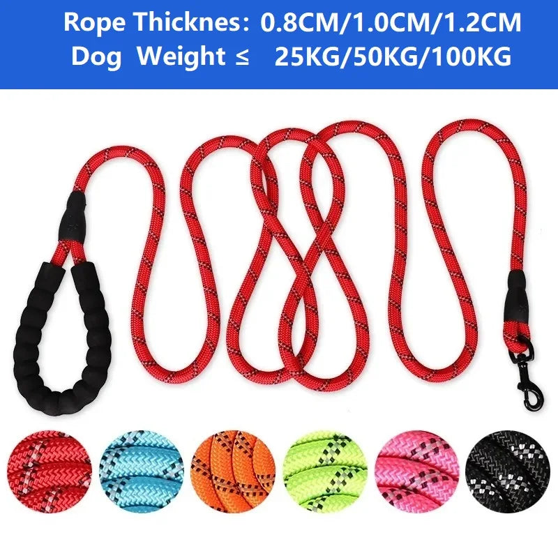 A variety of rope thick dog leashes in different colors and thicknesses are displayed.