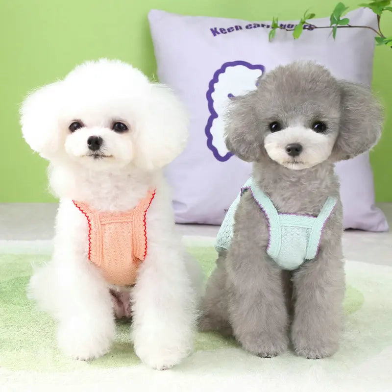 A white poodle puppy wearing a peach vest sits next to a gray poodle puppy wearing a mint green vest.