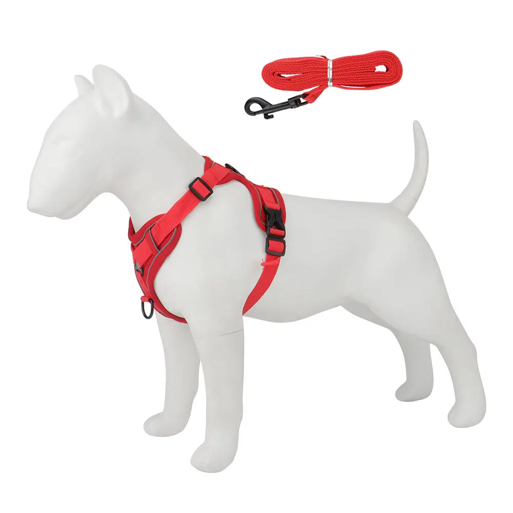 A white dog wearing a red harness and attached to a red leash set.