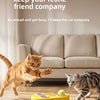 A small orange tabby cat plays with a yellow interactive toy designed to keep it company.